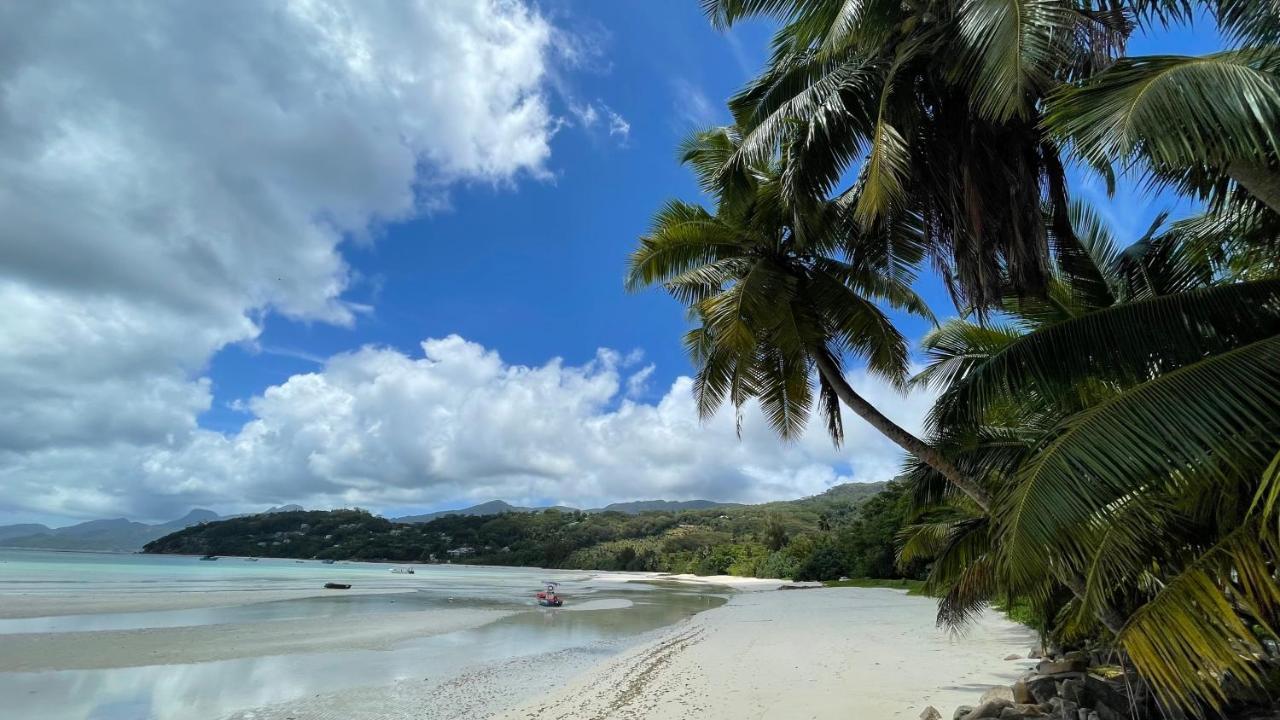 Anse a La Mouche La Trouvailleアパートホテル エクステリア 写真